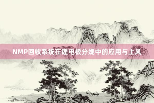 NMP回收系统在锂电板分娩中的应用与上风