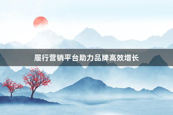 履行营销平台助力品牌高效增长