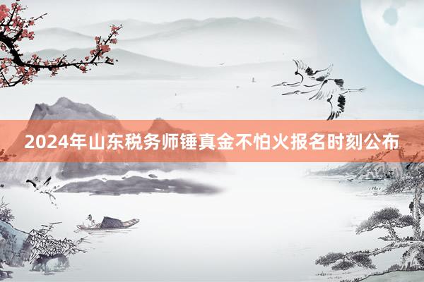 2024年山东税务师锤真金不怕火报名时刻公布