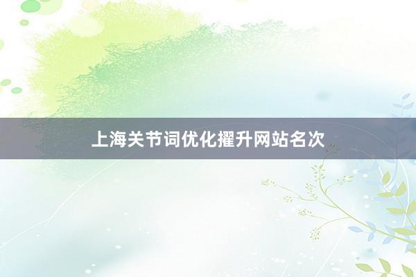 上海关节词优化擢升网站名次
