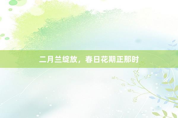 二月兰绽放，春日花期正那时