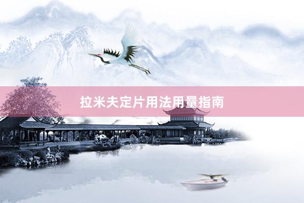 拉米夫定片用法用量指南