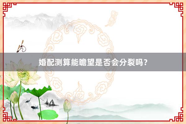 婚配测算能瞻望是否会分裂吗?